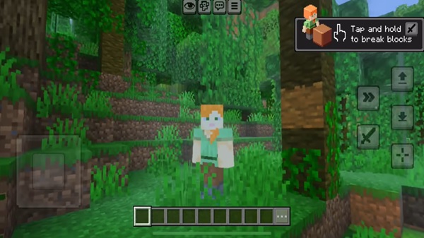minecraft 1 21 81